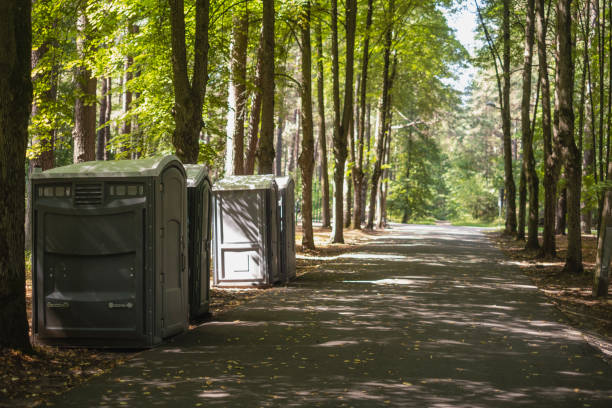 Best Standard Portable Toilet Rental  in Nekoosa, WI